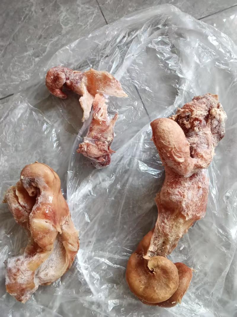 牛肠，熟牛子肠，一件代发，量大从优，欢迎您的光临！