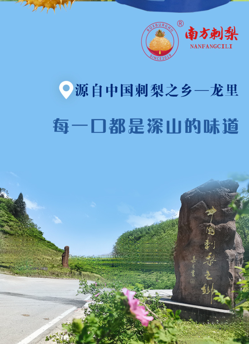 南方脆刺梨餐后来一袋酸甜清爽高维C