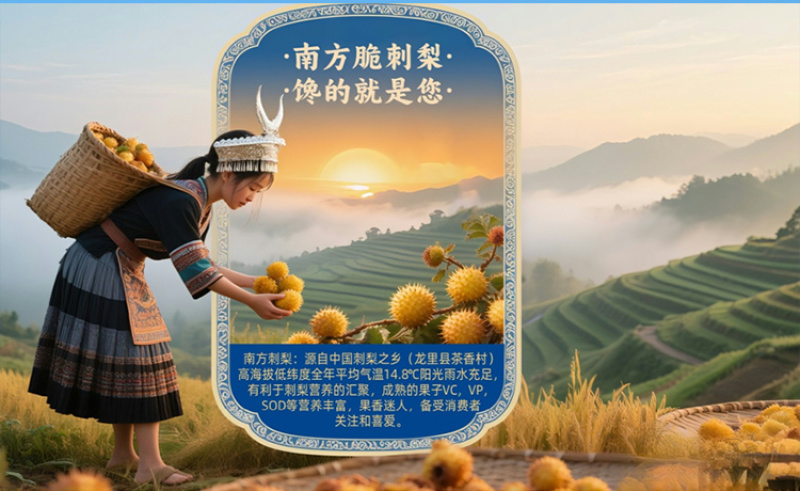南方脆刺梨餐后来一袋酸甜清爽高维C