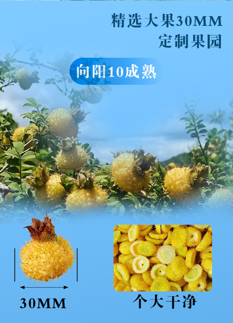 南方脆刺梨餐后来一袋酸甜清爽高维C