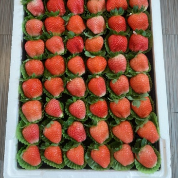 草莓🍓