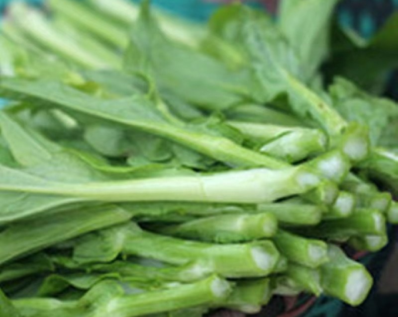 白菜苔15-20公分一级