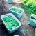 白菜苔15-20公分一级