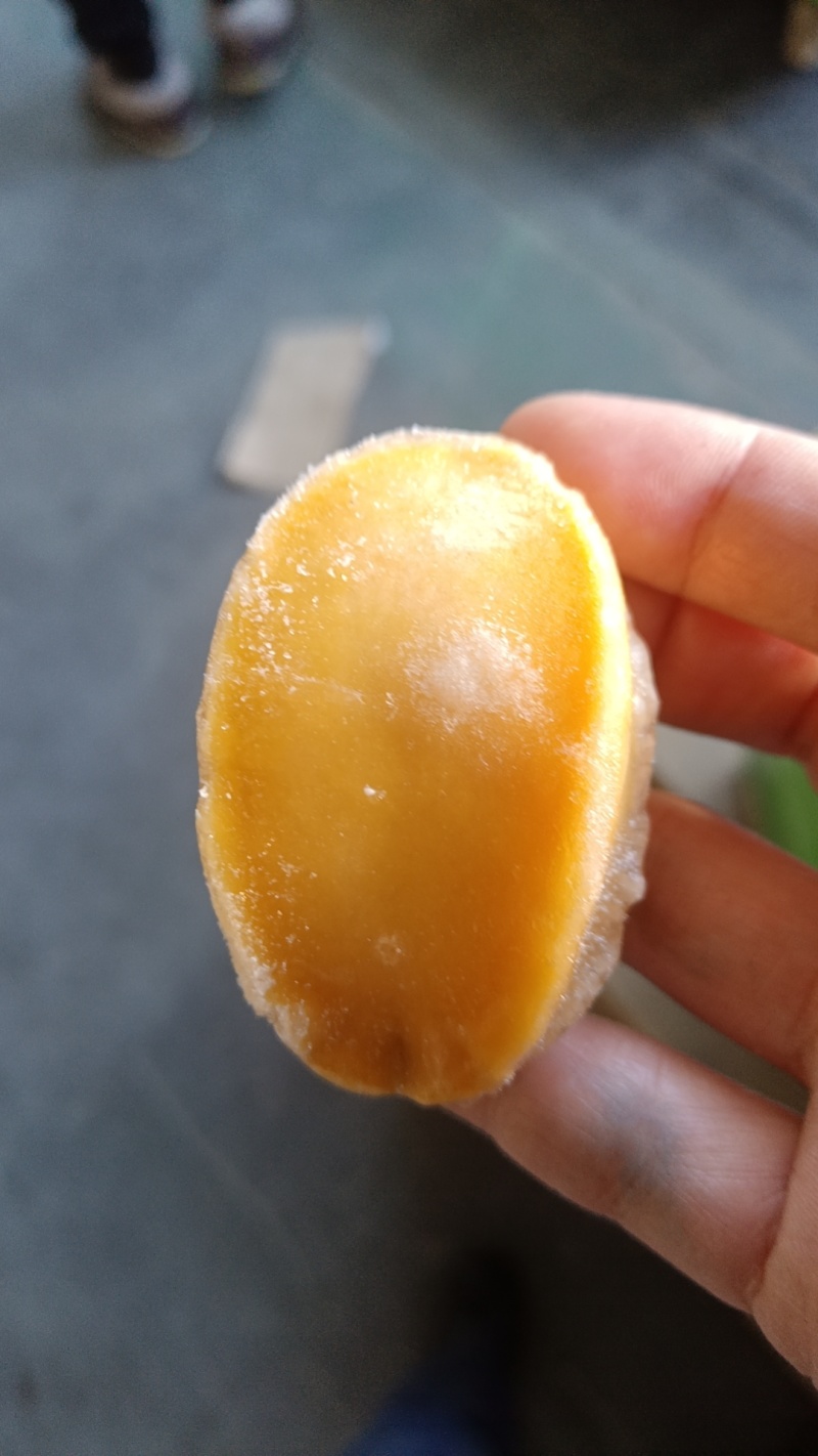 黄金鲍，源头工厂，价格优惠