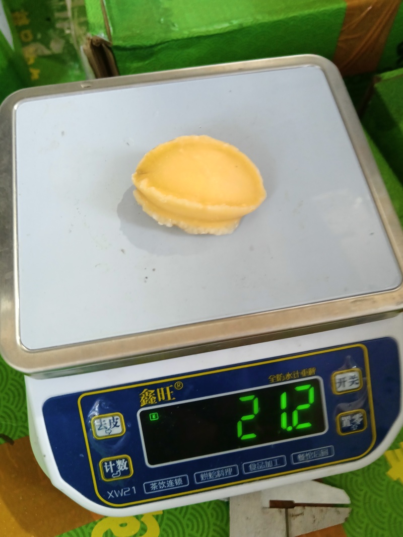 黄金鲍，源头工厂，价格优惠