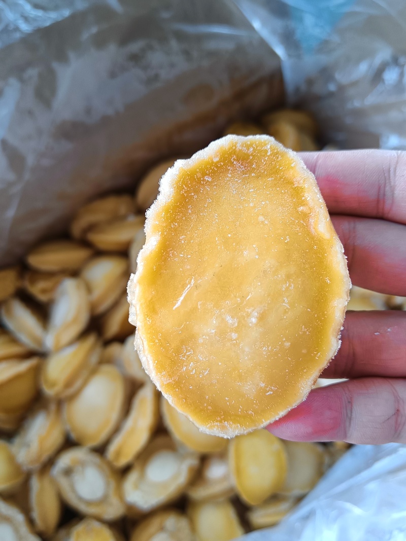 黄金鲍，源头工厂，价格优惠