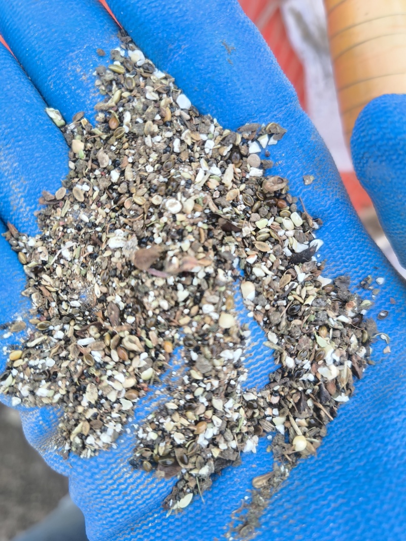 荞麦下脚料
