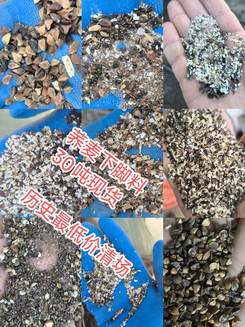 荞麦下脚料