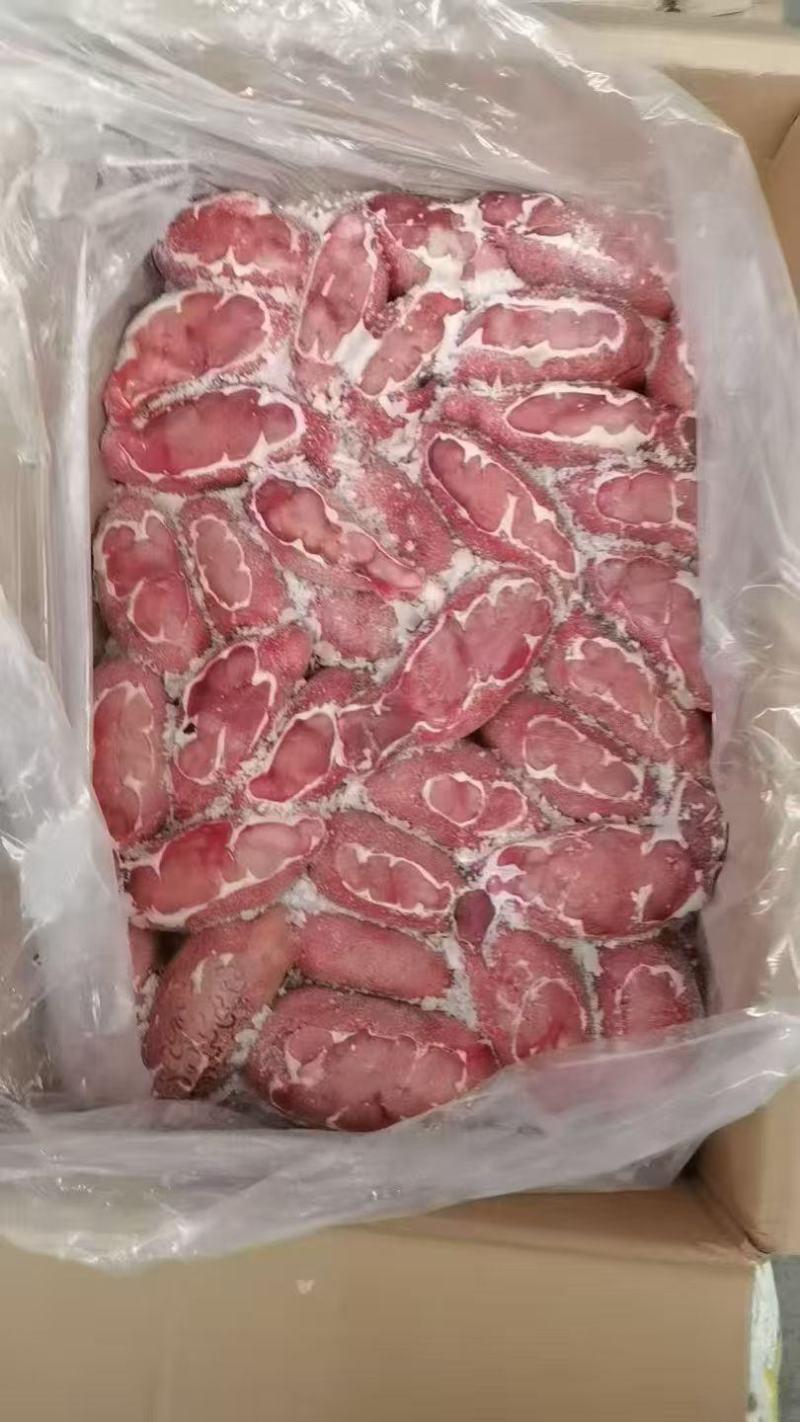 精修牛宝
