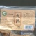 卤乳鸽真空包装熟食鸽子原味香辣味都有山西太原工厂直发