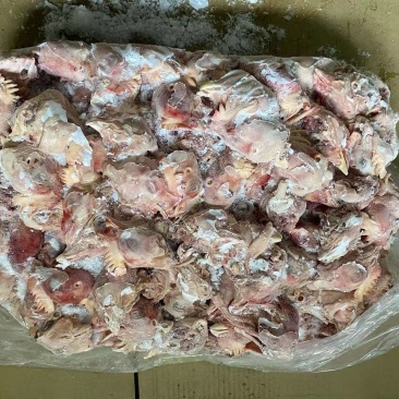 鸡头现货30吨，需要来研究。