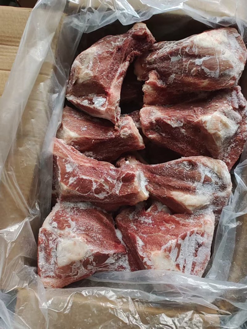 多肉扇子骨，一件18-20个左右山东腾惠将成为更多客户