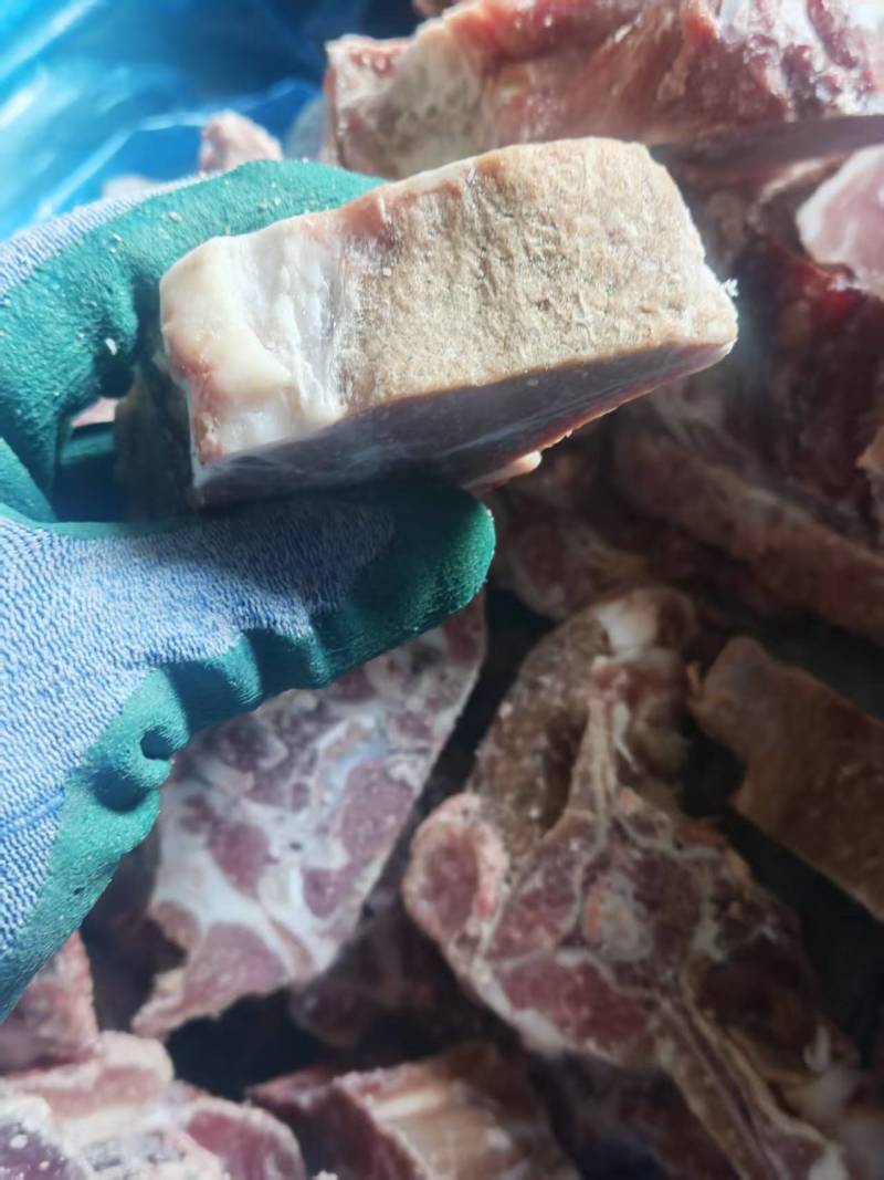 鑫业满肉羊蝎子实拍，卖的太好了，都是回头客。质量非常好