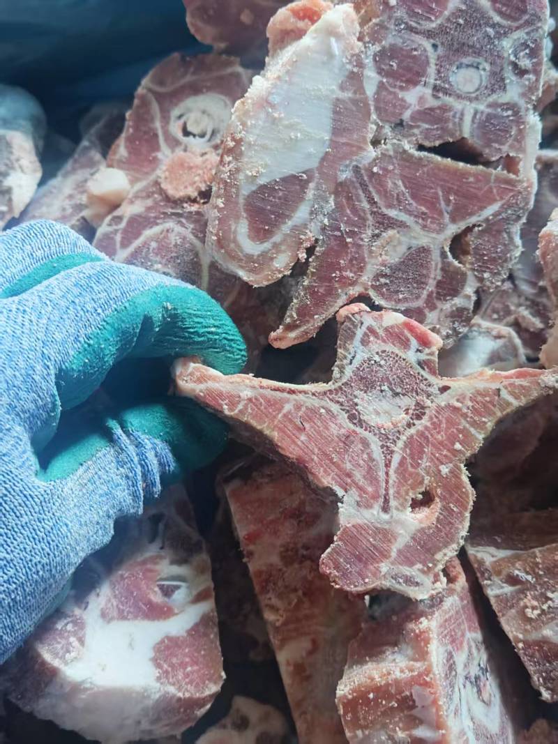 鑫业满肉羊蝎子实拍，卖的太好了，都是回头客。质量非常好