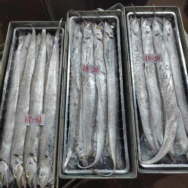 礼品盒带鱼，质量好，价格优。