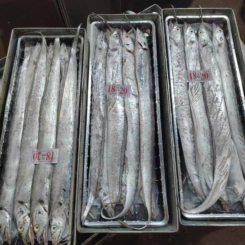 礼品盒带鱼，质量好，价格优。