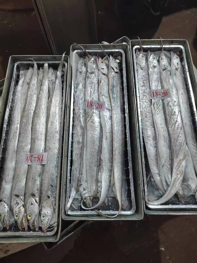 礼品盒带鱼，质量好，价格优。