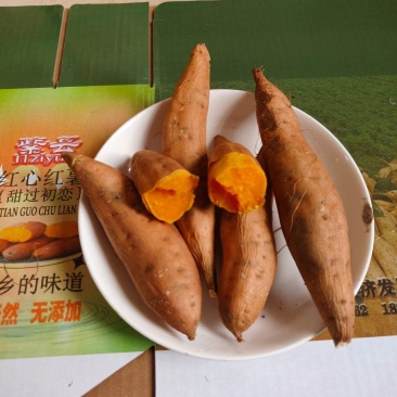 紫云红心红薯