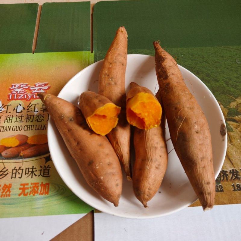 紫云红心红薯