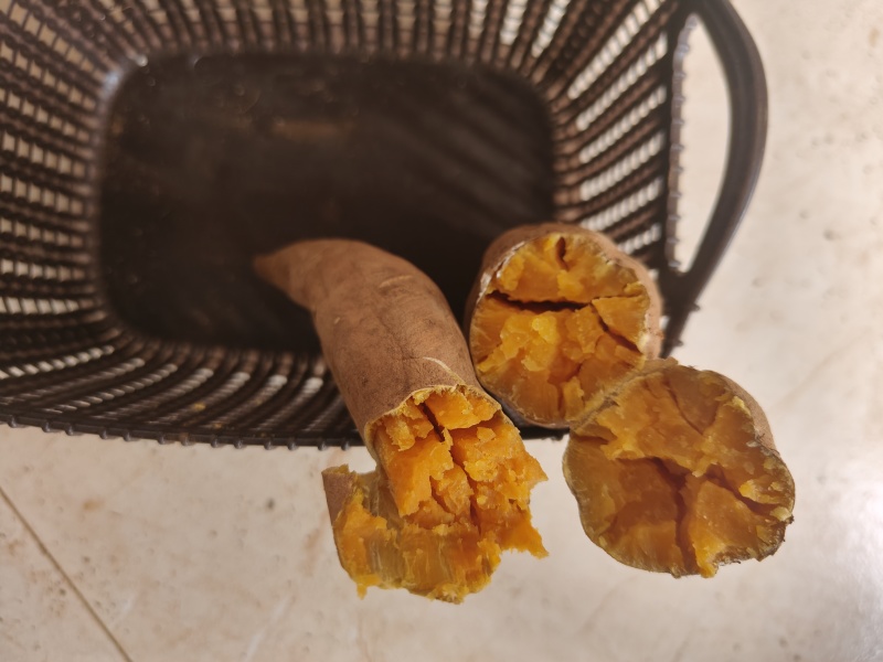 紫云红心红薯
