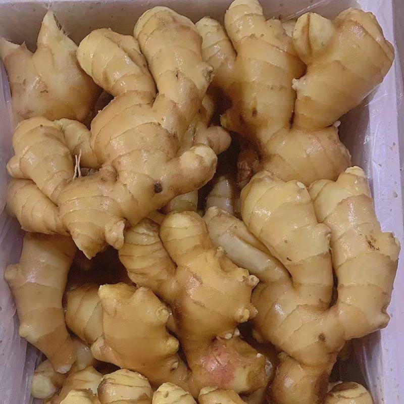 【优质】山东精品小黄姜品质优良对接电商一件代发