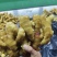 【优质】山东精品小黄姜品质优良对接电商一件代发