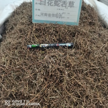 白花蛇草舌草切断规格齐全常年大货供应中药材