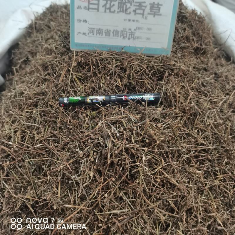 白花蛇草舌草切断规格齐全常年大货供应中药材