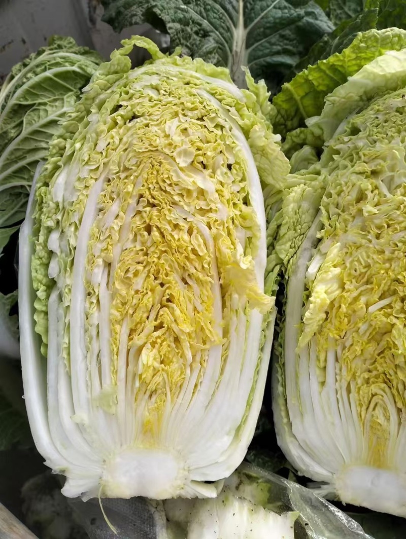 扶沟娃娃菜