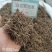白花蛇草舌草切断规格齐全常年大货供应中药材
