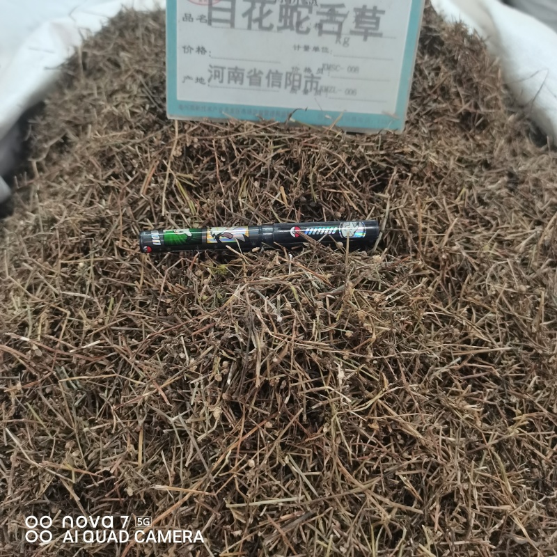 白花蛇草舌草切断规格齐全常年大货供应中药材