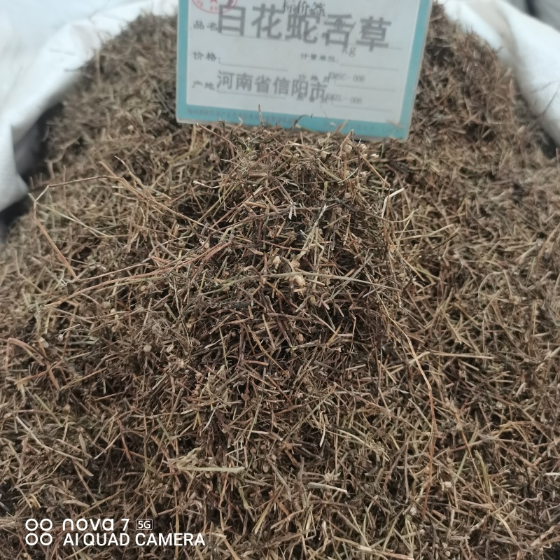 白花蛇草舌草切断规格齐全常年大货供应中药材