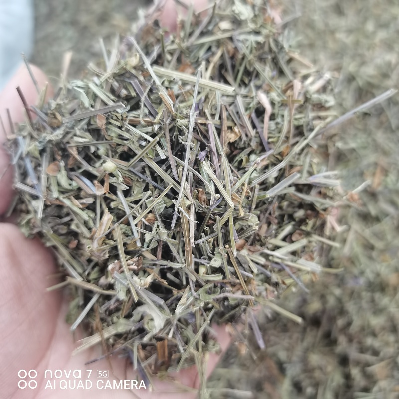 中药材半枝莲草袋装当天发货药用正品保证的