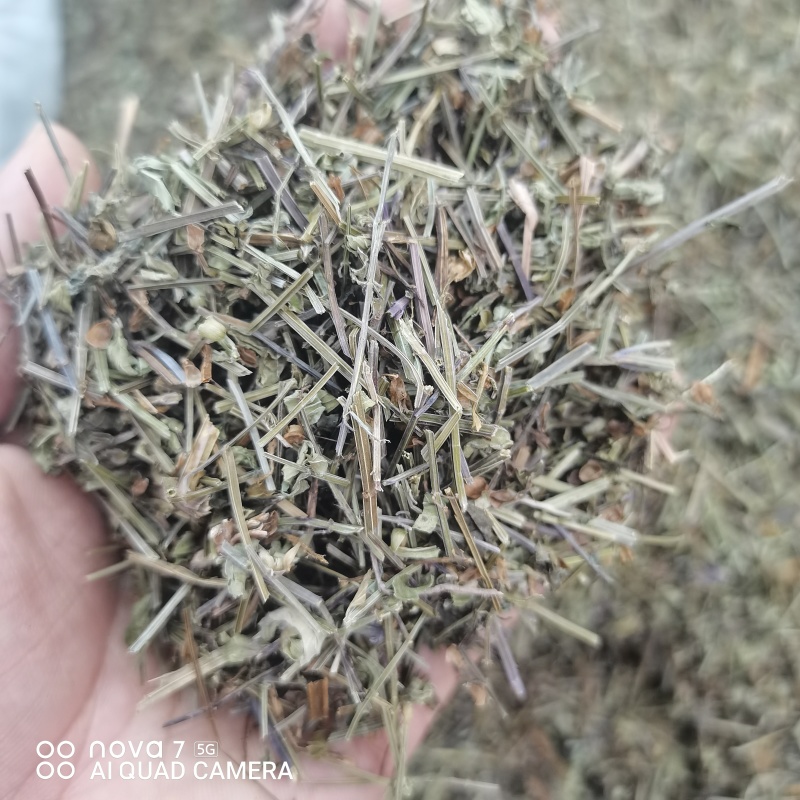 中药材半枝莲草袋装当天发货药用正品保证的