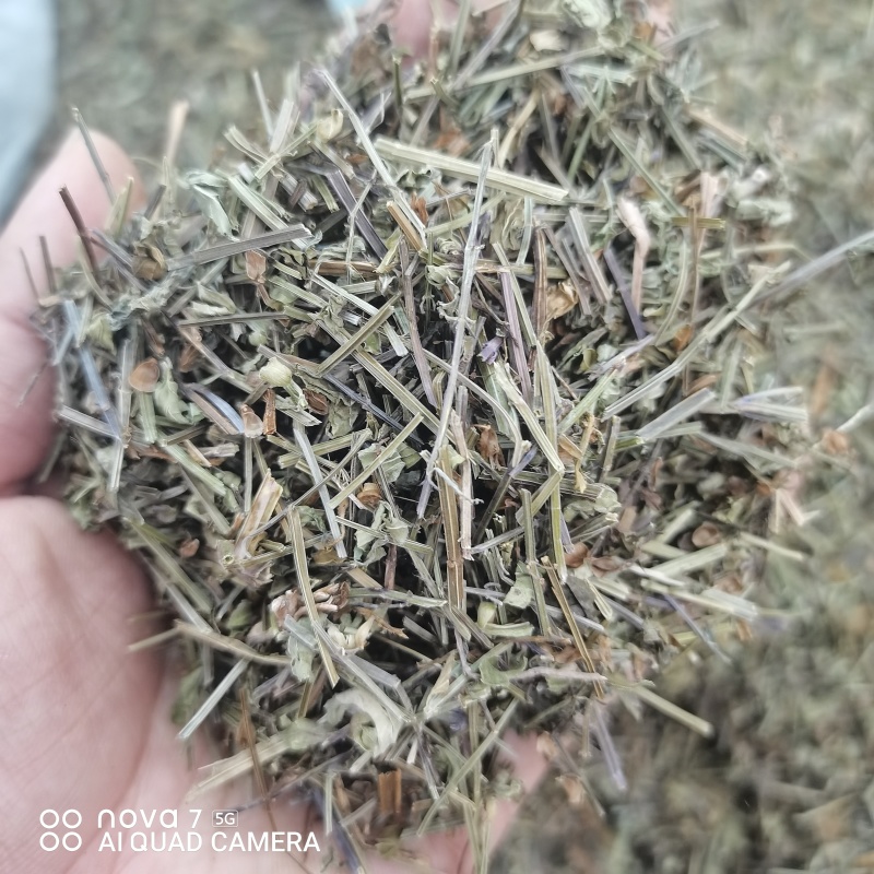 中药材半枝莲草袋装当天发货药用正品保证的