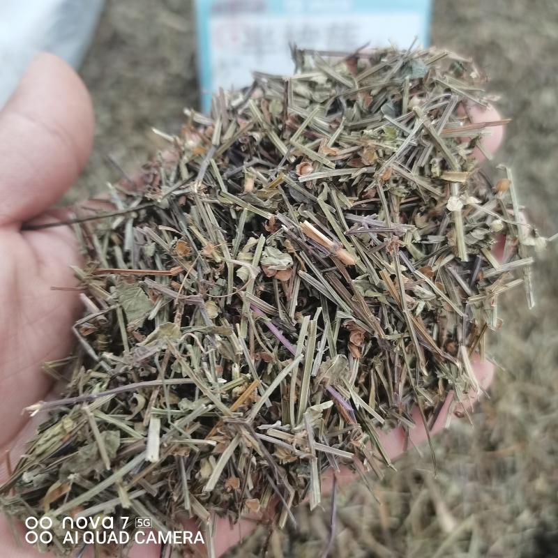 中药材半枝莲草袋装当天发货药用正品保证的