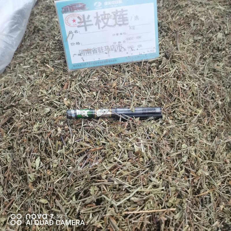 中药材半枝莲草袋装当天发货药用正品保证的