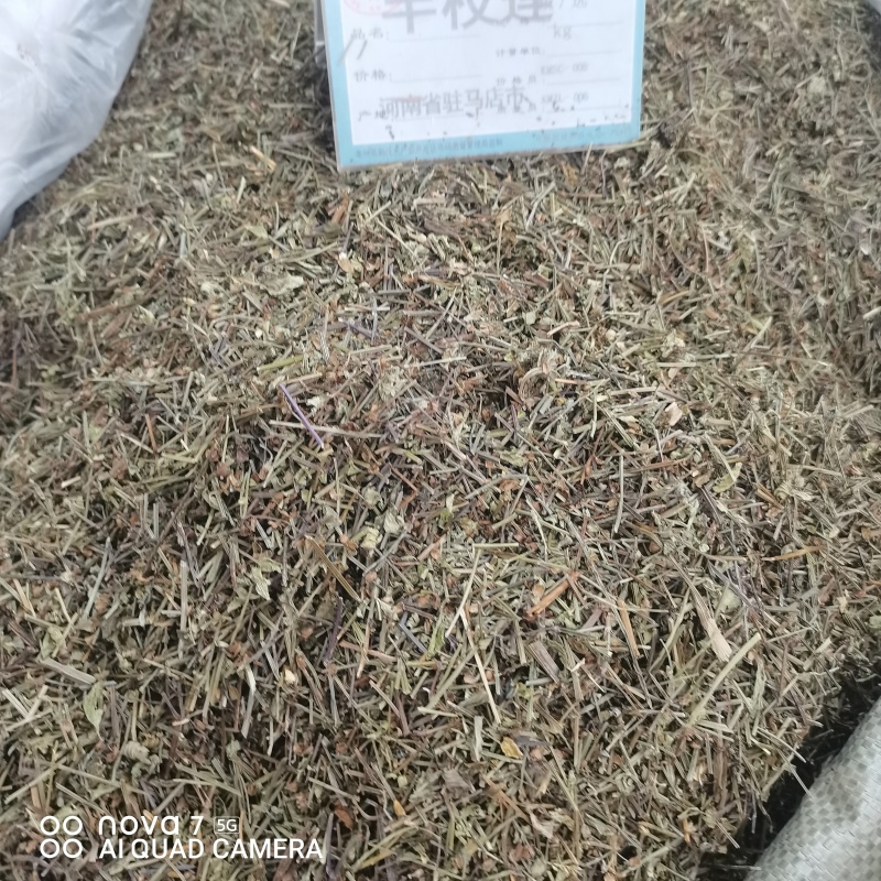 中药材半枝莲草袋装当天发货药用正品保证的