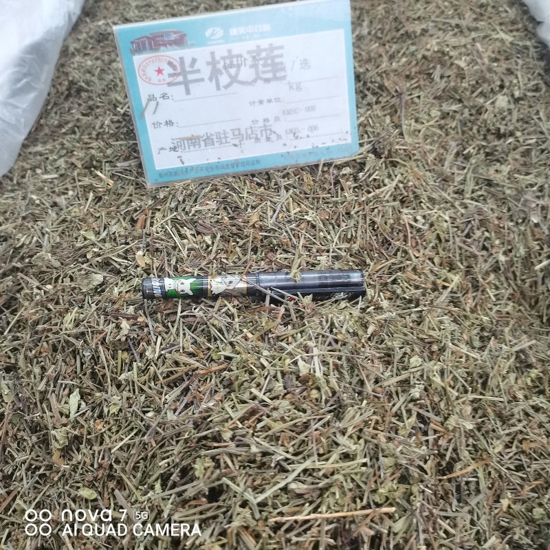 中药材半枝莲草袋装当天发货药用正品保证的