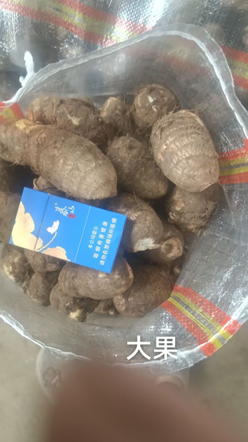 精品芋头，大量现货。