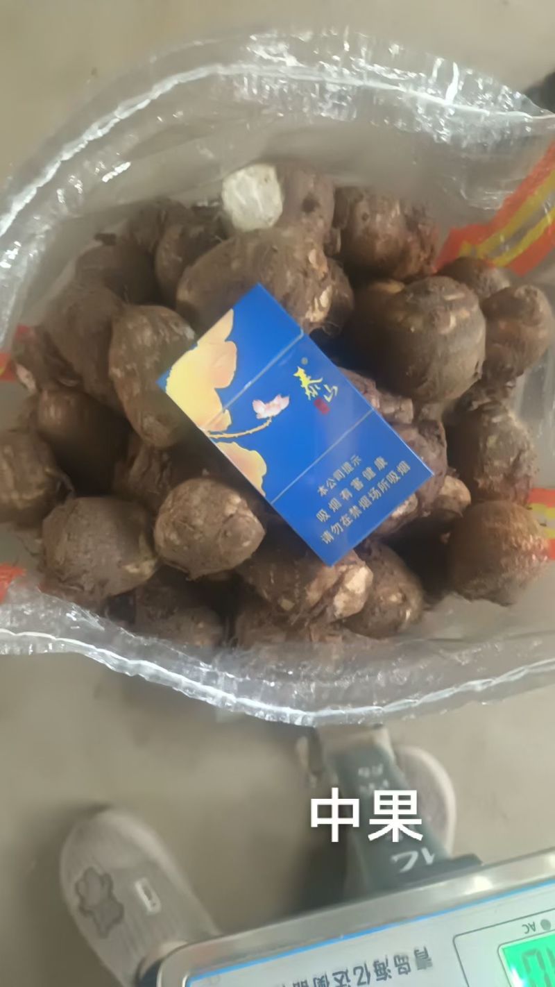 精品芋头，大量现货。
