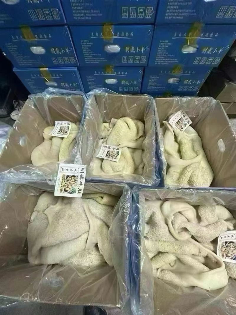 熟牛肚