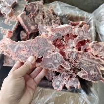 多肉羊蝎子