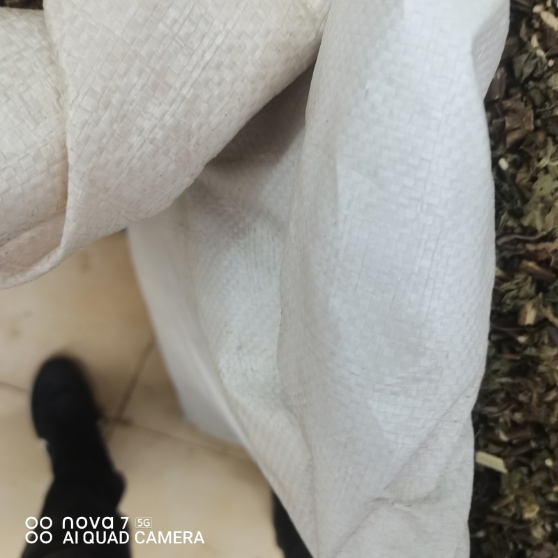 霍香中药材广霍香整棵切断规格齐全常年供应