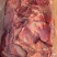 纯干的羊板肉