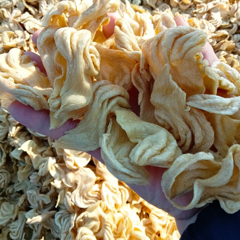 大豆耳