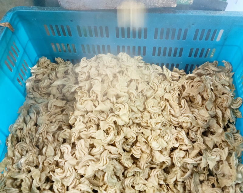 大豆耳