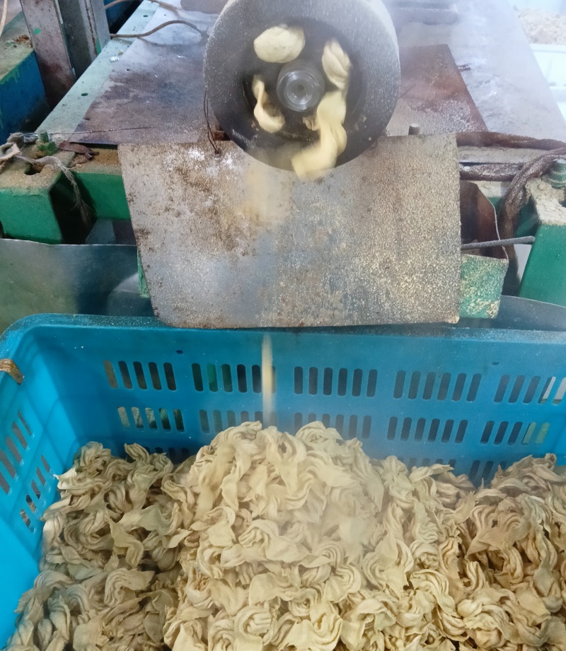 大豆耳