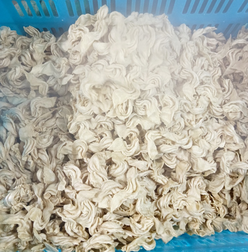 大豆耳