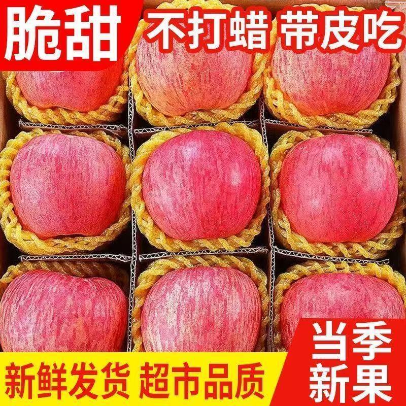 洛川红富士/产区直发/大量有货/当天发车